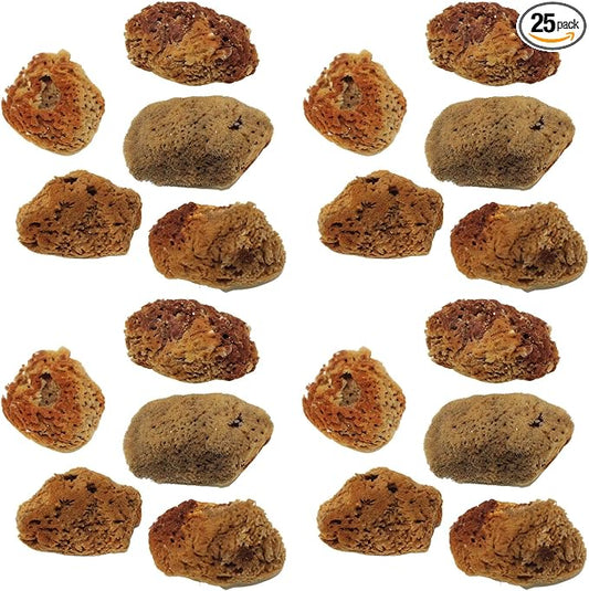 Needzo Hermit Crab Natural Sponge for Water Dish, Drinking and Tank Humidity, Size May Vary, Pack of 25