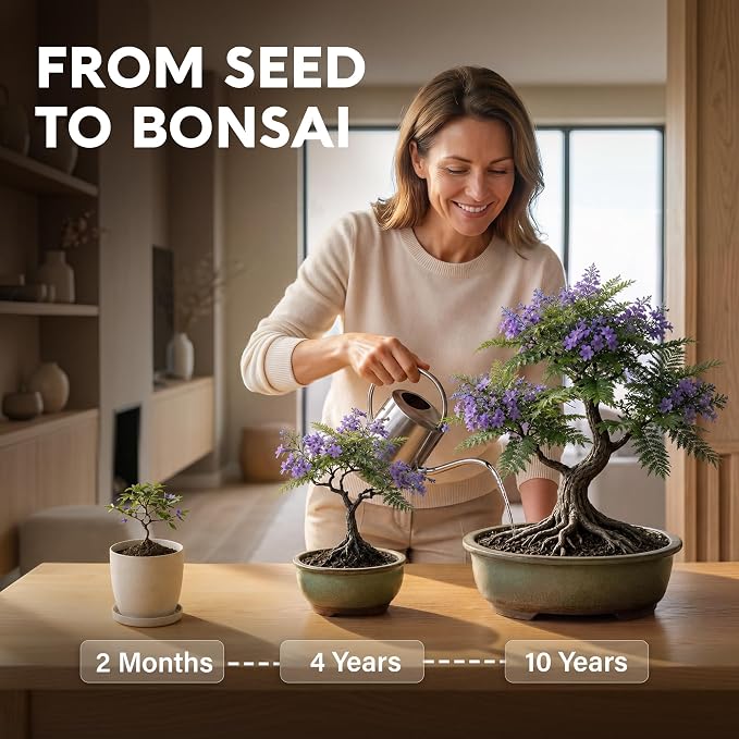 Bonsai Starter Kit – 2X Bonsai Tree | Complete Indoor Starter Kit for Growing Bonsai Plants with Tools & Planters – Gardening Gifts for Women & Men