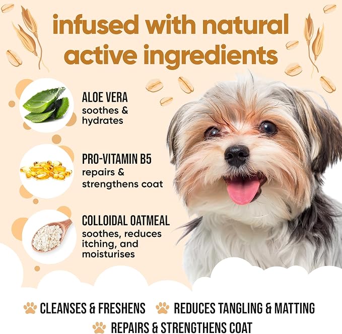 Oatmeal Dog Shampoo by Buddycare | Shampoo for Dogs with Irritated Skin | Relieving and Rehydrating | with Aloe Vera and Pro Vitamin B5 (169.07oz)