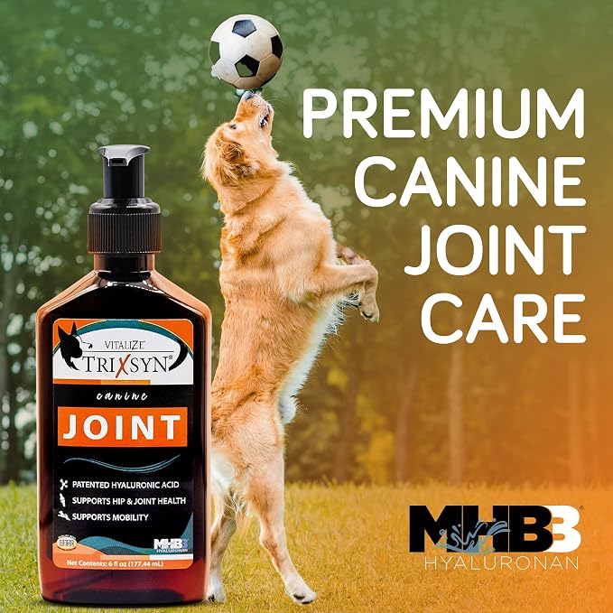 Trixsyn - Canine Hip and Joint Supplement for Dogs, 6 fl oz - Hyaluronic Acid Liquid HA for Senior Dogs to Support Mobility, Healthy Cartilage & Joint Function - Patented MHB3 Formula