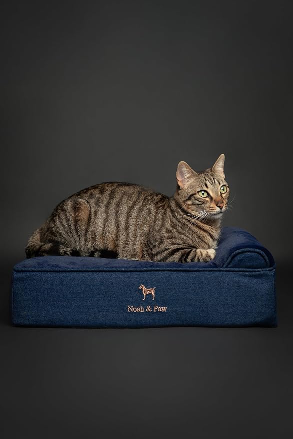 NOAH & PAW Small Dog Bed, 20x15x6.5 Inch, Cat Bed for Indoor Cats, Orthopedic Eggshell Memory Foam Infused with Cooling Gel, Water Resistant, Machine Washable, Includes Inner Cover (Denim Collection)