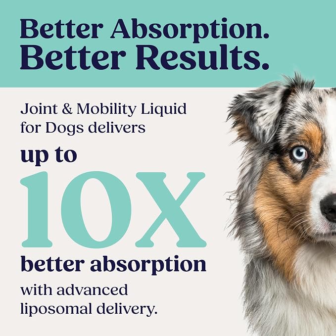 Summit Canine Joint and Mobility Supplement for Medium Dogs, All Natural Liquid Chondroitin, Liposomal Delivery for Arthritis, Hip & Joint Support Vitamin, (Dogs, 25-75lbs)