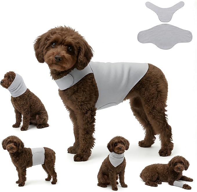 DAJIDALI® Dog & Cat Anxiety Vest & Spay Recovery Suit – Silent Adjustable Calming Wrap for Surgery & Thunderstorms – 2-Piece Cone & Recovery Onesie Alternative