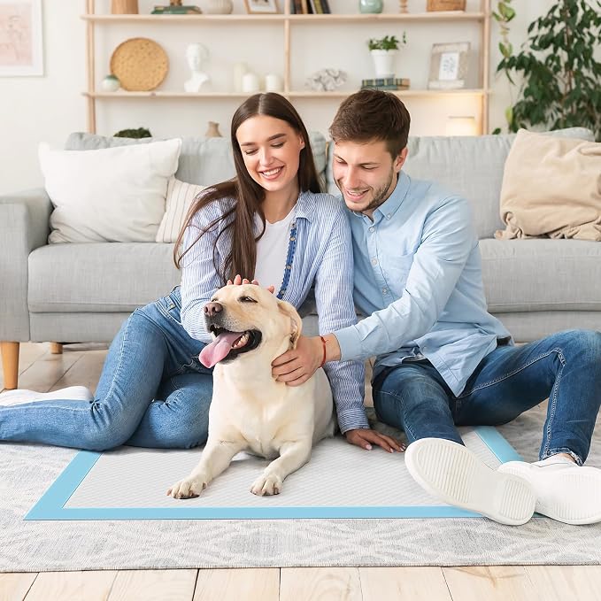 DUMOS 300 Count Puppy Pads for Dogs, 22" x 22" Potty Puppy Training Pad, 6-Layer Dog Cat Pee Pads, Super Absorbency Disposable Pet Leakproof Quick Drying Pad