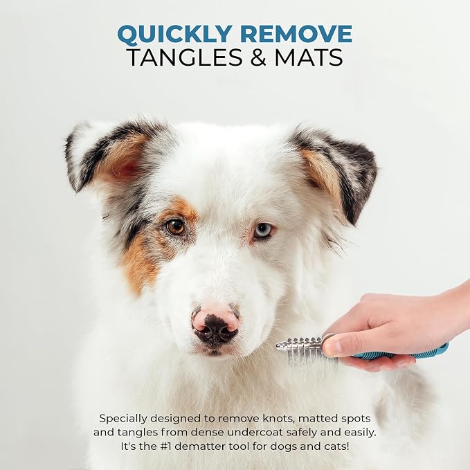 Poodle Pet Bundle - Dematting Fur Rake Comb Brush Tool with Steel Safety Blades and Detangling Pet Comb with Long and Short Stainless Steel Teeth for Detangling Matted or Knotted Undercoat Hair (Blue)