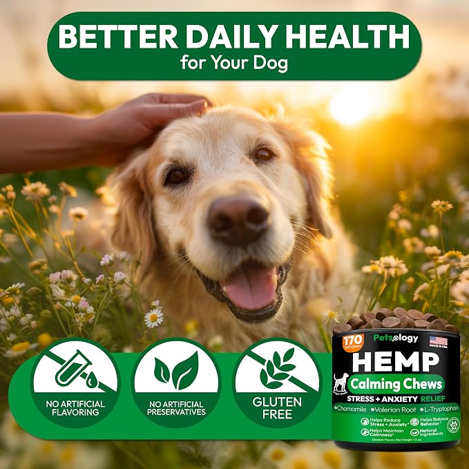 Hemp Calming Chews for Dogs - 170 Dog Calming Chews - Anxiety Relief Treats - Advanced Stress Relief Supplement, Separation Aid, Barking, Fireworks, Melatonin - Hip & Joint Support - Made in USA