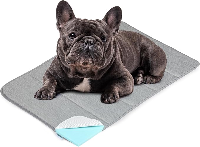 Dog Cooling Mat for Large Dogs – 30"x20" Orthopedic Memory Foam Pad for Summer, Hot Weather & Joint Relief | Washable, Non-Slip Crate Mat for Senior Dogs, Travel & Home (Grey)