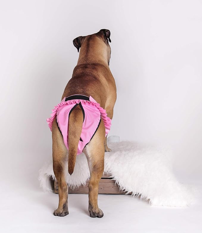 FINNERO Ballerina Dog Diaper – Washable, Reusable, Leak-Proof – Heat, Period & Urine Incontinence Protection – Comfortable, and Stylish Design – Adjustable Fit for Female Dogs – Medium, Pink