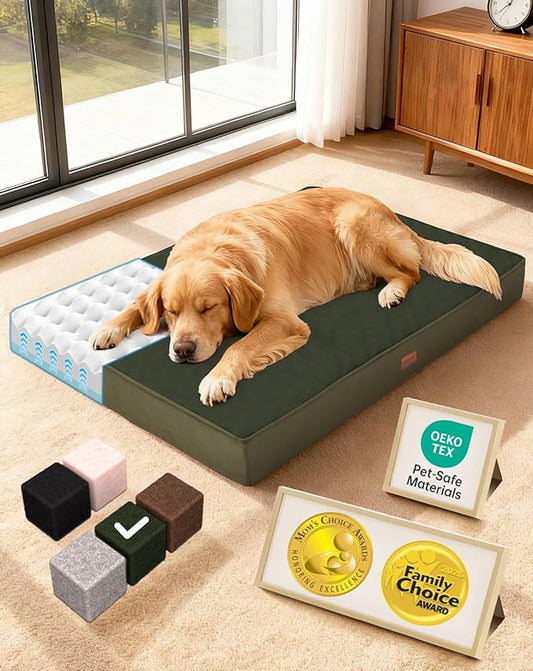 OhGeni Orthopedic Waterproof Dog Bed for Large Dogs, Machine-Washable Removable Cover in Easy-Clean Fabric, Reversible Memory Foam & Easy-Carry Handle, Suitable for Crate, 41 inch (Green)