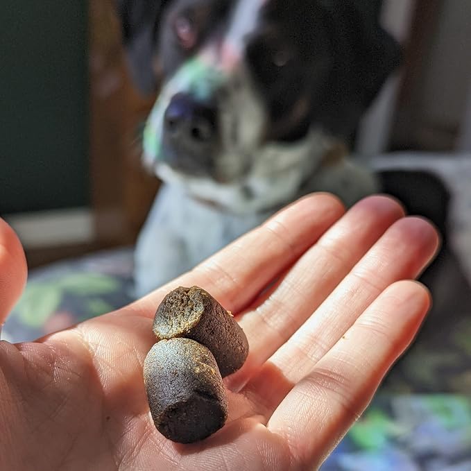 Hemp Well Calm Dog Soft Chews Relieves Anxiety, Calms and Relaxes Your Dog, Aids in Stress Relief and Behavioral Issues, Organically Sourced (2 Pack (120 Chews))