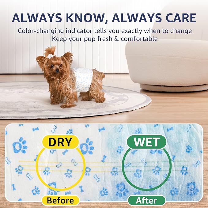 Dog Diapers Male Small, Disposable Wraps Belly Bands, 12-19", 50 Ct | 6-layer absorbent core · wetness color indicator · soft breathable fit · leak-resistant · for marking, training & senior care