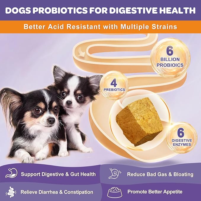 Probiotics for Dogs Freeze Dried 180 Counts and Probiotics Powder for Dogs
