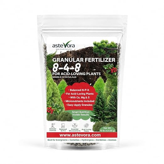 GARDENWISE Evergreen Fertilizer – All-Purpose Granular Plant Food for Outdoor Trees and Shrubs, Azaleas, Magnolias, Pines & Arborvitae – Slow-Release Formula (5 quarts)