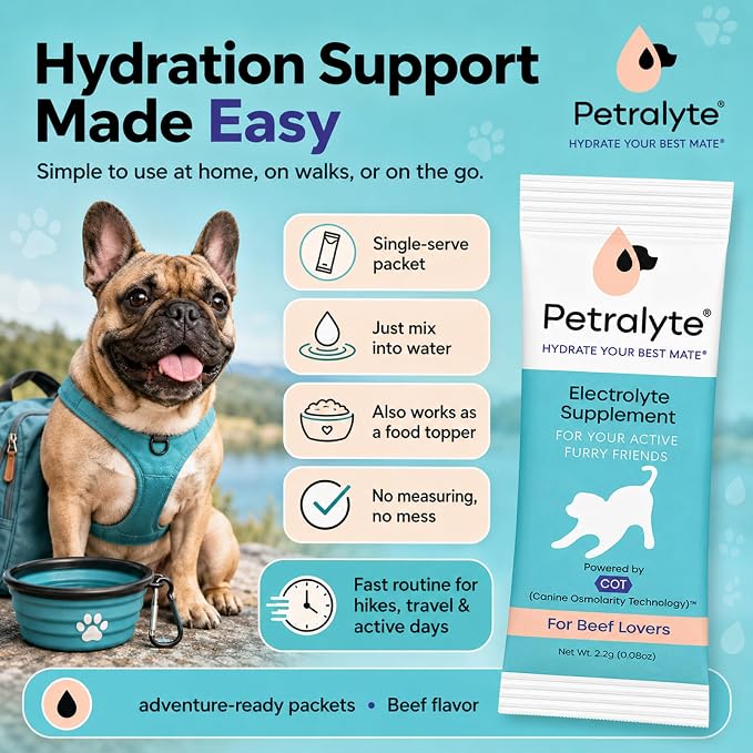 Petralyte Dog Electrolytes and Joint Supplement | Hydration Support for Dogs w/Glucosamine, Chondroitin & More | Electrolytes for Dogs with Prebiotics | for Beef Lovers | 32 Packets