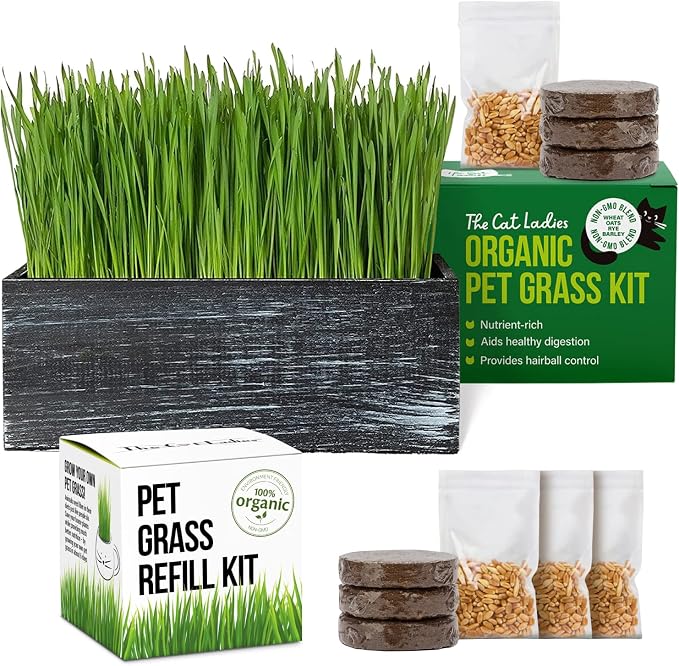 TCL Black Wooden Planter Cat Grass Kit with Refill