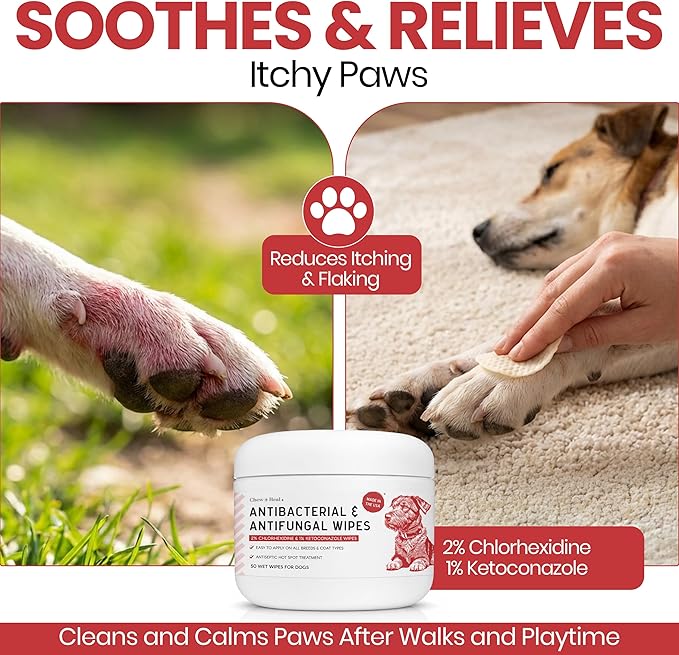 Chew + Heal Labs Dog Paw Wipes Antibacterial 100 Count - Antifungal Wipes for Dogs with 2% Chlorhexidine and 1% Ketoconazole - Good for All Breeds - Made in the USA