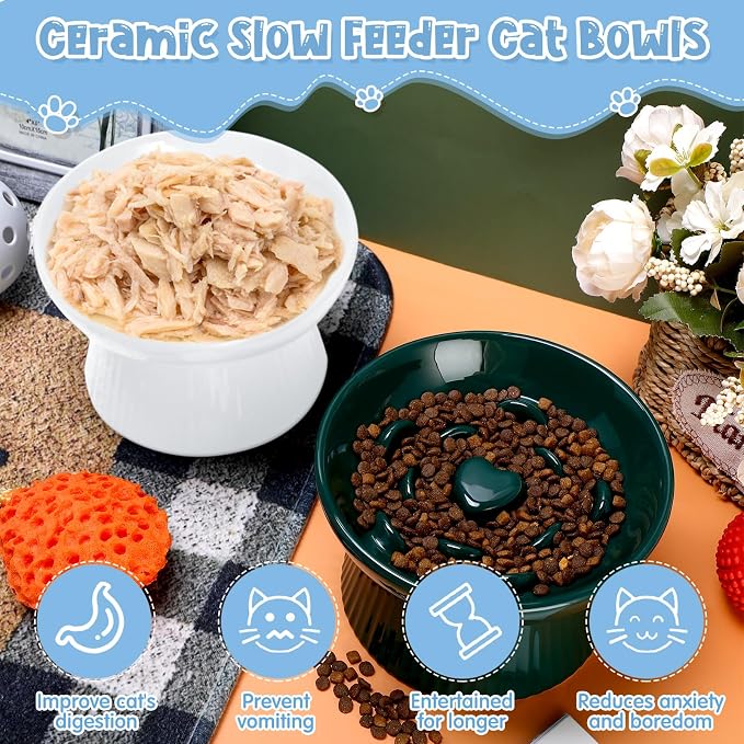 Tioncy 2 Pcs Raised Cat Slow Feeder Bowl Ceramic Elevated Cat Dog Food Bowl No Spill High Edge for Dry Wet Food and Water Easy to Clean, Dishwasher Safe (Dark Green,White)
