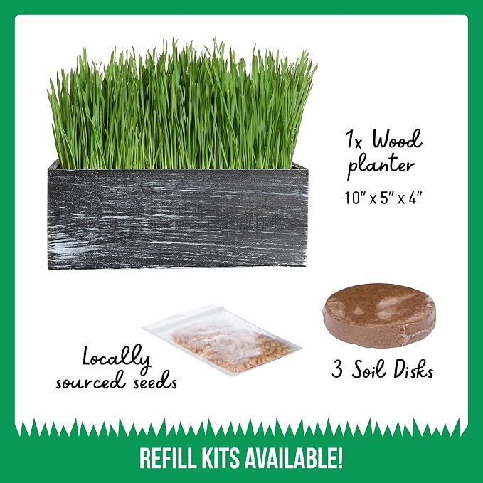 TCL Black Wooden Planter Cat Grass Kit with Refill