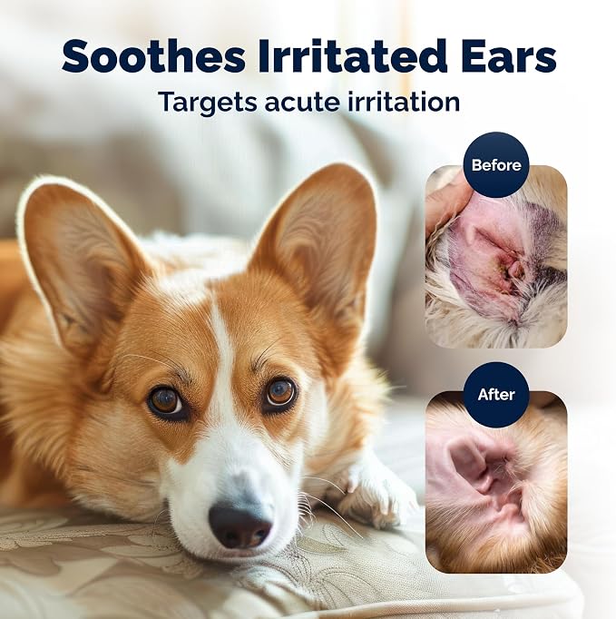 Vetnique Oticbliss Dog Ear Infection Treatment for Dogs & Cats, Otic Ear Solution with 0.2% MicroSilver BG and 1% Hydrocortisone, Medicated Drops for Yeasty Odor, Discharge, Redness, Swelling
