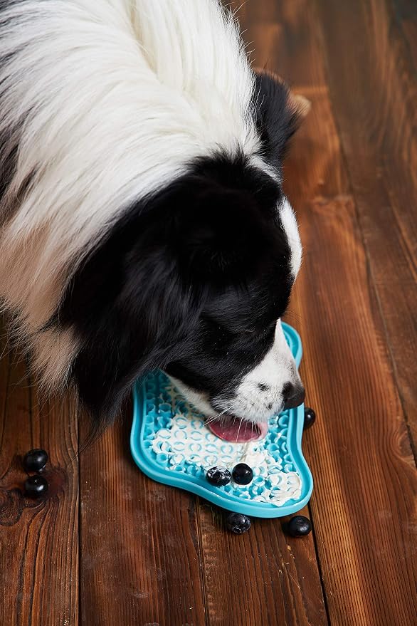 PetDreamHouse PAW 2-in-1 Slow Feeder Interactive Bowl and Removable Lick Mat Pad for Dogs, Puppies or Cats Plate Food Treats Controls Fast Eating Anti Bloating - Blue