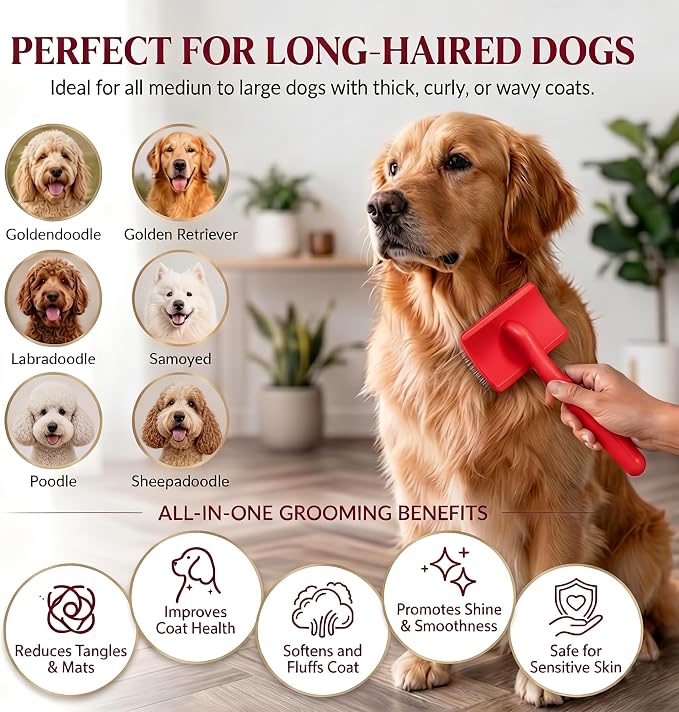 Large Slicker Brush for Dogs - 3-Piece Solid Wood Dog Grooming Kit for Doodles and Poodles - for Wavy, Curly & Matted Hair, Red