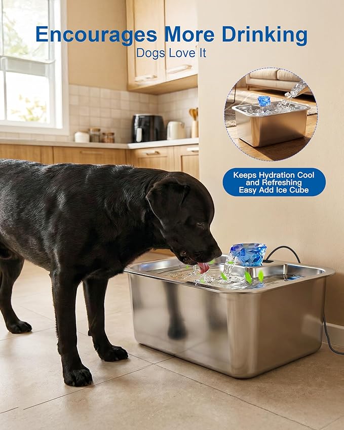 PETNF Dog Water Fountain, 3Gal Stainless Steel Pet Water Dispenser with 4-Stage Filtration, Ultra-Quiet Pump & Circulating Flow, Ideal for Large Dogs Multi-Pet Home, Perfect for Long Trips & Daily Use