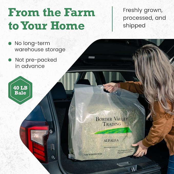Border Valley Teff Grass Hay Bales, 40 lb - Soft Fine Stem Hay for Rabbits, Guinea Pigs, Chinchillas, Tortoises, Horses and Livestock - High Fiber Grass Bales, Farm-to-Home Freshness