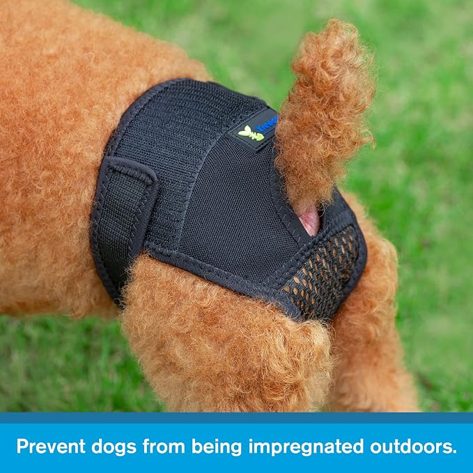 Reusable Female Dog Pants to Prevent Cross-Tailing, Washable Underwear for Dogs in Heat (L, Black)