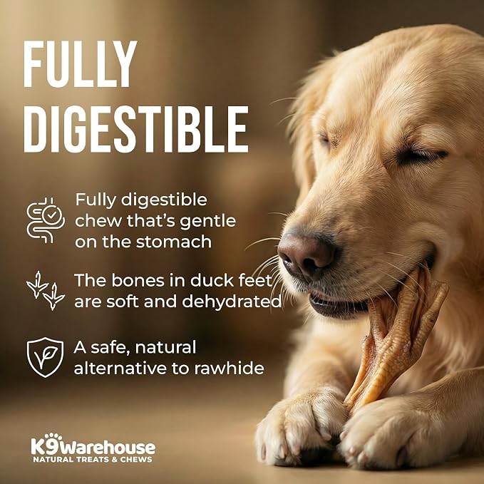 K9warehouse Duck Feet for Dogs – High Protein Dehydrated Dog Treats, Natural Crunchy Chews with Collagen, Glucosamine & Chondroitin for Joint & Hip Health, Dental Care, Small to Large Breeds (10 pcs)