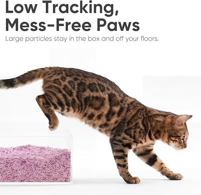 FUKUMARU Tofu Cat Litter, 18lb - Lavender Scent, Firm Clumping, Natural Odor Control, Low Dust, Flushable Plant-Based Pellets, 6lb x 3 Bags