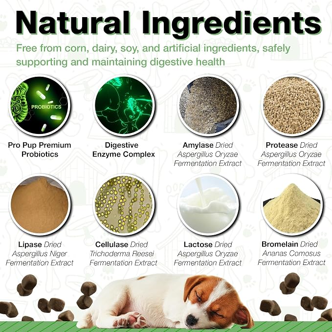 Probiotics for Dogs - Diarrhea Relief, Gut Health Support, Constipation Relief, Digestive Health Support - Vet Recommended Dog Probiotics - 120 Soft Chews that Dogs Love - Pumpkin Flavor