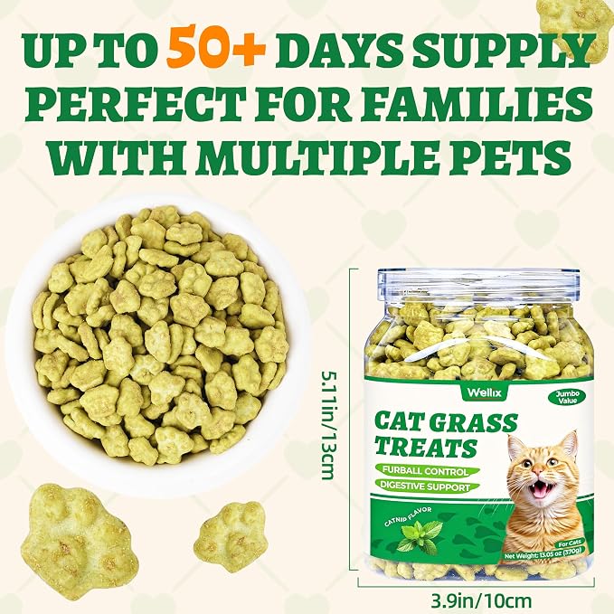 Wellix Cat Grass Treats with Catnip & Salmon - Healthy Cat Treats for Indoor Cats - Hairball Control & Digestive Support - Kittens Training Snacks for Teeth Cleaning 13.05oz