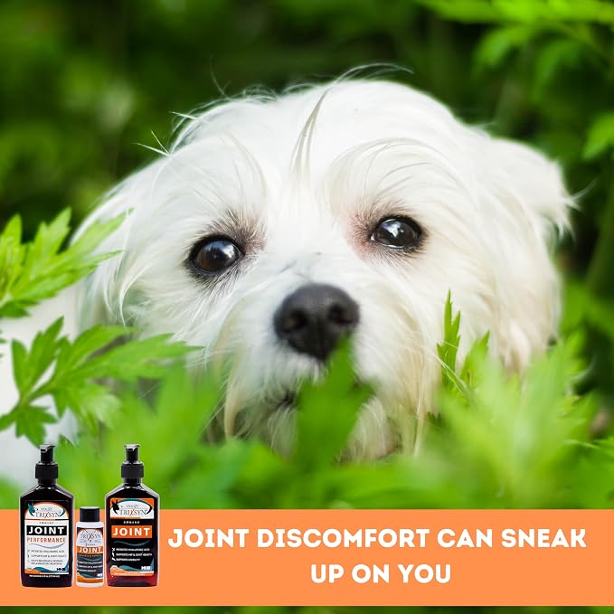 TRIXSYN Canine - Dog Hip and Joint Supplement - Liquid Hyaluronic Acid HA for Dog - Patented Liquid Formula for Senior Dogs - MHB3 Hylauronan - 6 fl oz (2)