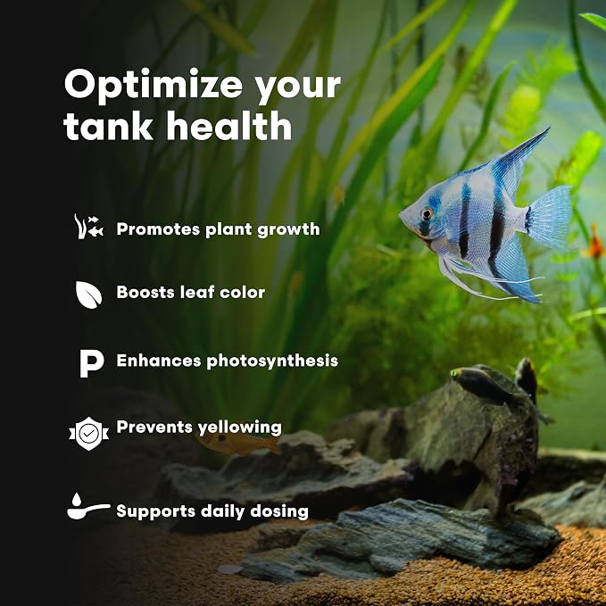 Brightwell Aquatics Florin-Fe Iron Supplement for Planted Aquariums – Dual-Action Iron Source for Plant Growth, Chlorophyll & Vibrant Foliage – Daily Dosing, 500 ml