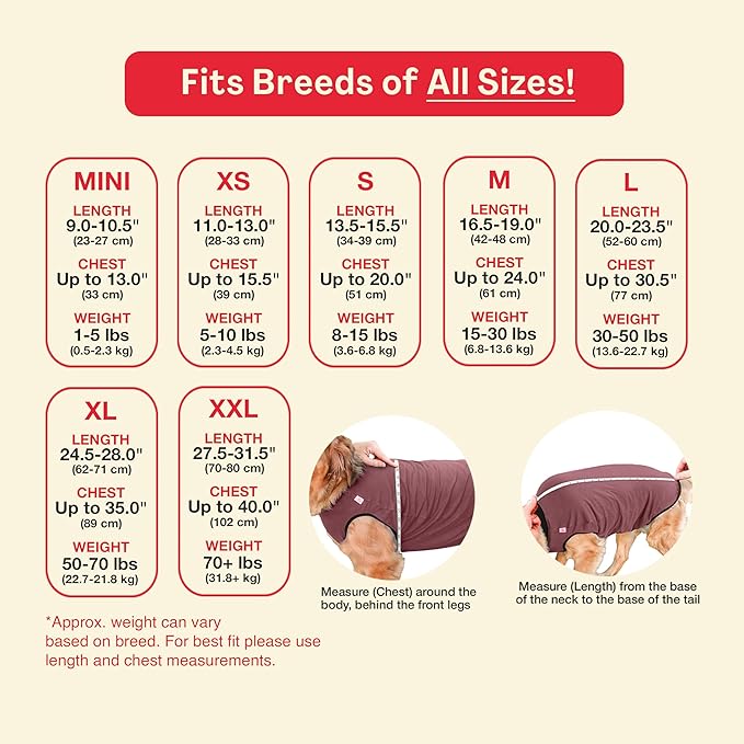 BellyGuard Dog Surgery Recovery Suit, Post-Op Dog Recovery Suit for Female Spay & Male Neuter, Comfy Onesie for Pets, Surgical Body Cover for Canine Healing Support