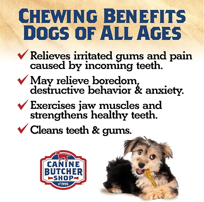 Turkey Tendons for Dogs Made and Raised in USA, All-Natural Chews for Small and Large Breeds, Single-Ingredient Treat, Healthy No Hide Dog Chews (8 oz)