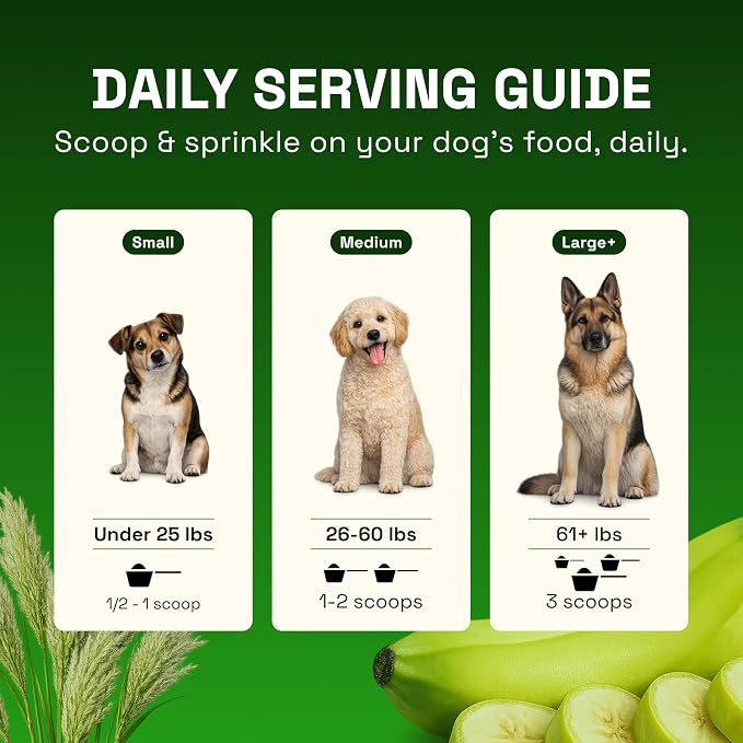 Gut Health Topper for Dogs – Digestive Support Powder with Real Beef, Pumpkin, Apple Fiber & Prebiotic Fiber | Helps Support Firm Stools, Sensitive Stomachs & Healthy Digestion | 100g