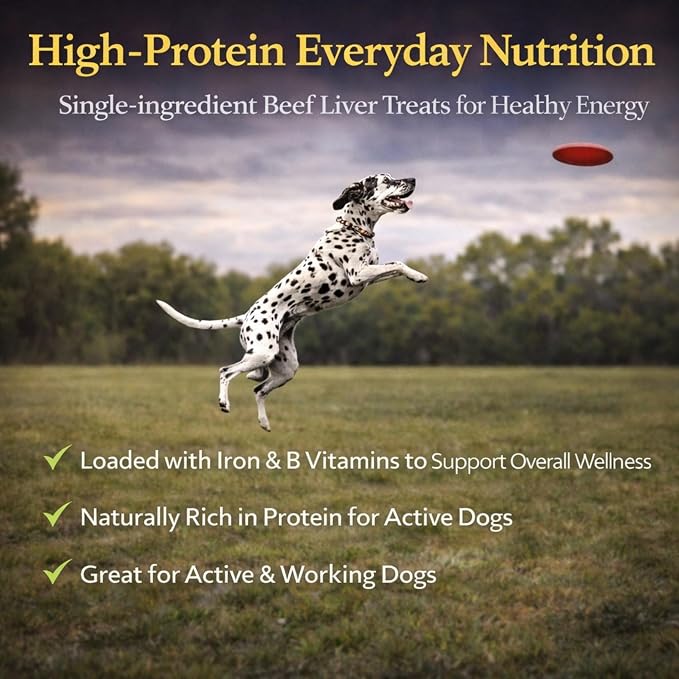 Freeze-Dried Dog Treats – Single Ingredient, High Protein, All-Natural (Beef)