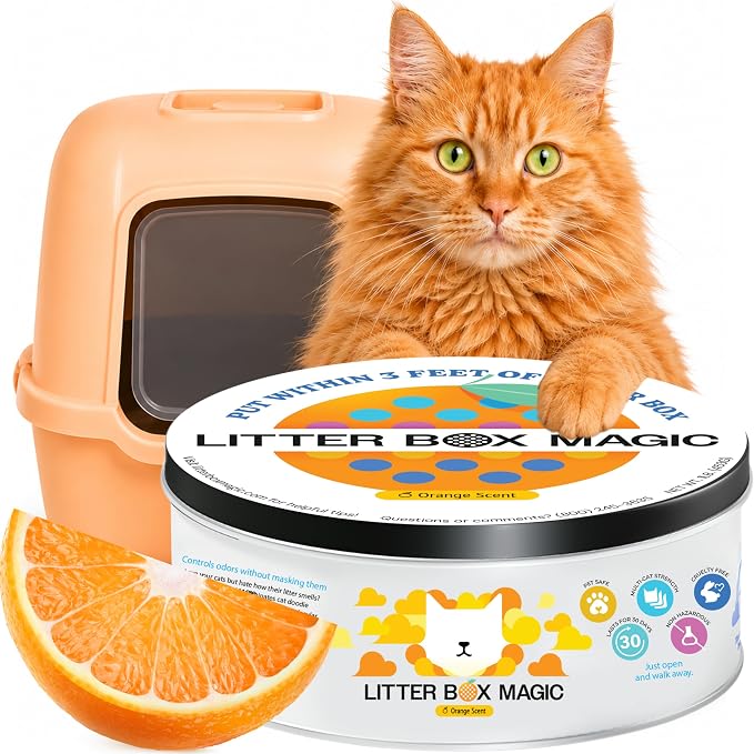 Litter Box Magic Cat Litter Deodorizer (Orange Scent, 16 Oz, Pack of 1) – Premium Cat Litter Odor Eliminator Gel Jar | Cat Odor & Stain Removers, Urine Odor Eliminator & Pooping Deodorizer, Non Toxic