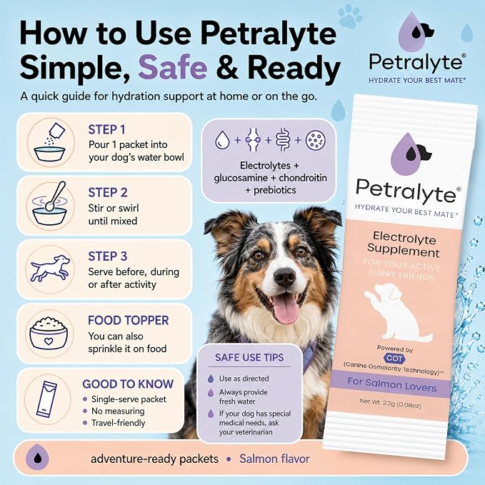 Dog Electrolytes and Joint Supplement | Glucosamine, Chondroitin & MSM for Inflammation and Mobility Support | Electrolytes for Dogs with Prebiotics | Salmon Lovers | 16 Packets