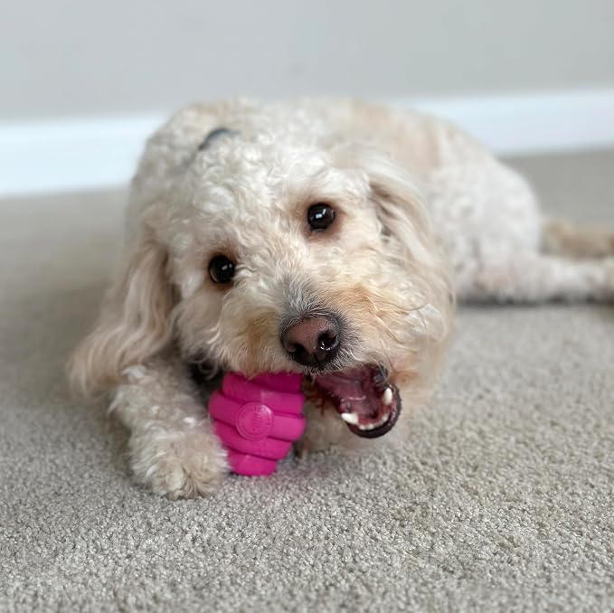 HIVE Parent (Wild Berry, Hive Chew Toy for Small Dogs)