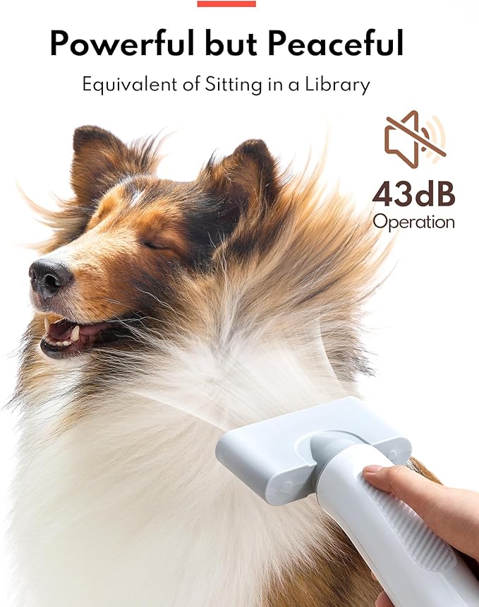 HomeRunPet Dog Dryer, Ultra Quiet High Velocity Blow Dryer for Dogs with 99 Speed & 3 Temperature Settings, 6.5ft Long Hose & LED Display, Perfect for Dogs, Pets Grooming