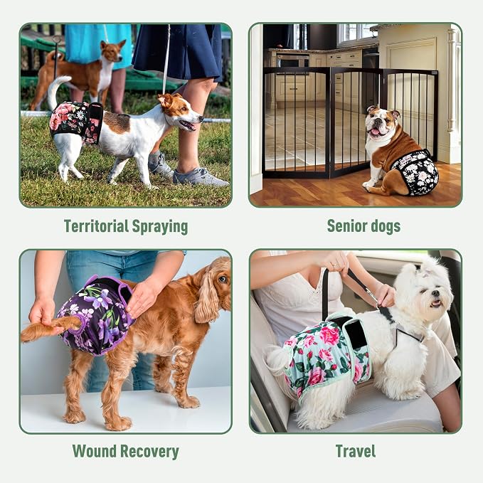 Washable Reusable Female Dog Diapers(5 Pack) Small Medium Large Doggie Puppy & Doggy Dog Diaper, Period Panties in Heat X-Large