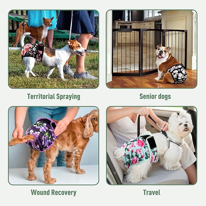 Washable Reusable Female Dog Diapers(5 Pack) Small Medium Large Doggie Puppy & Doggy Dog Diaper, Period Panties in Heat XX-Large