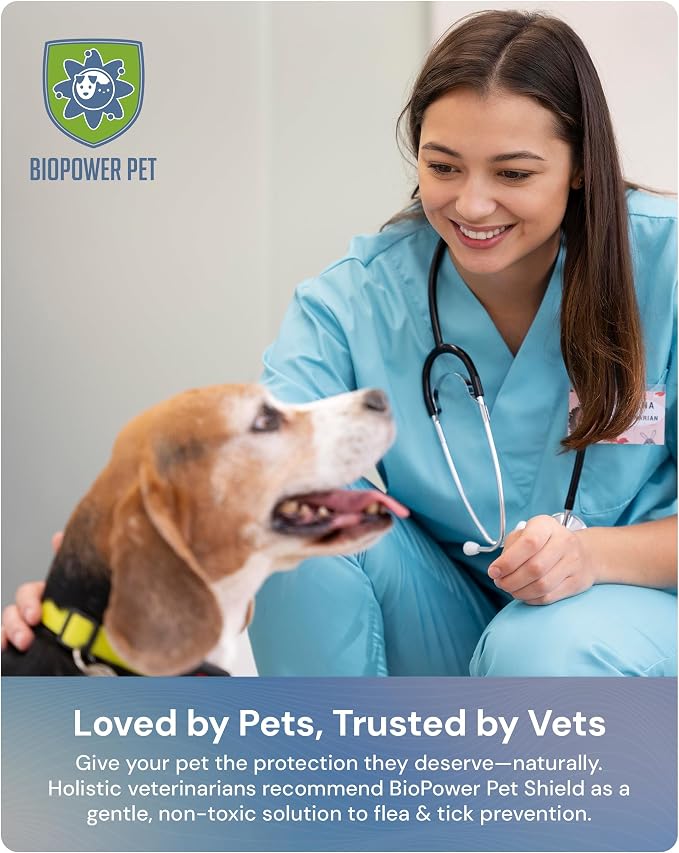 Shield Tag - Natural Flea & Tick Repellent Collar Tag for Dogs & Cats - Waterproof, Lasts 12 Months - Stainless Steel Pendant - Small Tag (<10 Lbs) - 3 Pack