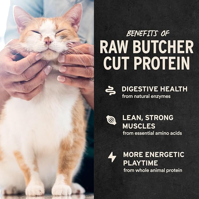 Vital Essentials Freeze Dried Raw Chicken Hearts Cat Treats | Single Ingredient | Premium Quality | Grain Free, Healthy Treats for Cats, 2.75 oz Bag