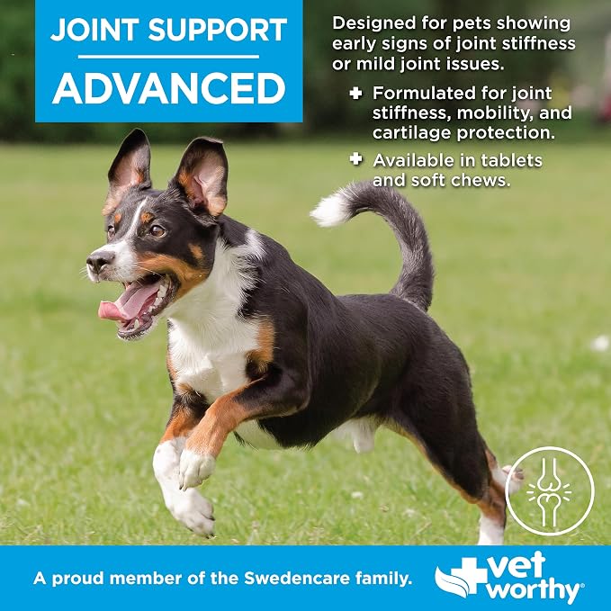 Vet Worthy Advanced Dog Joint and Hip Supplement - Glucosamine Chondroitin for Dogs with MSM - Support Mildly Stiff Joints for Better Mobility and Flexibility - Liver-Flavored Tablets (90 ct)
