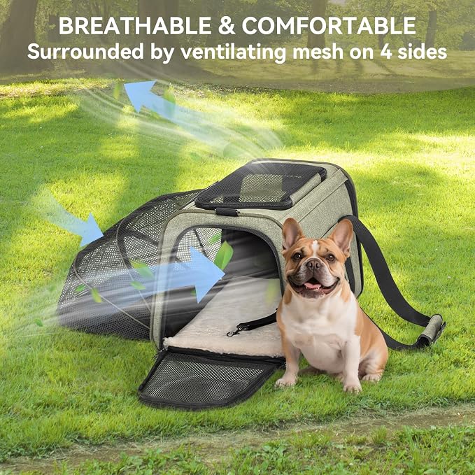 Petsfit Expandable Cat Carrier Dog Carrier, Soft-Sided Collapsible Portable Pet Carrier, 19x12x12, Green