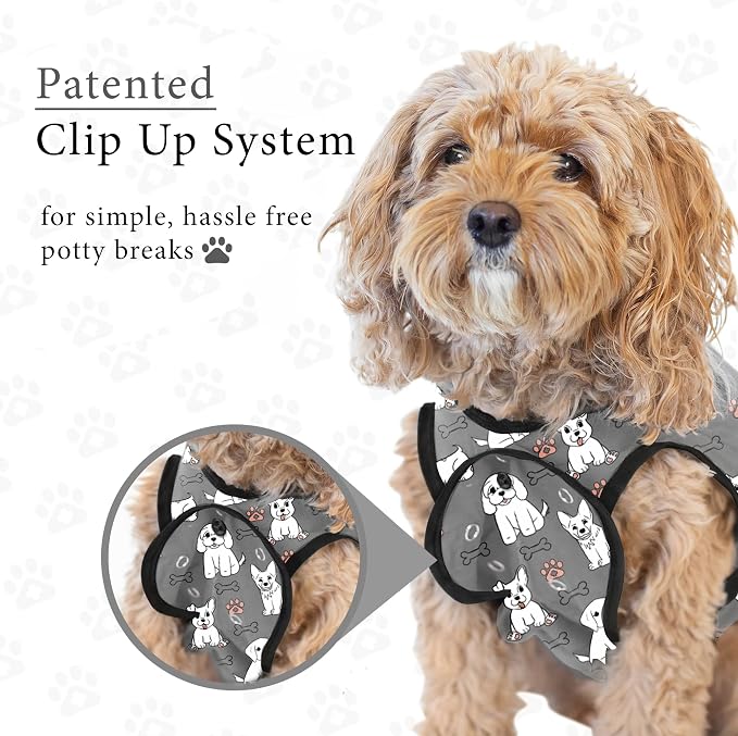 BellyGuard Dog Surgery Recovery Suit, Post-Op Dog Recovery Suit for Female Spay & Male Neuter, Comfy Onesie for Pets, Surgical Body Cover for Canine Healing Support