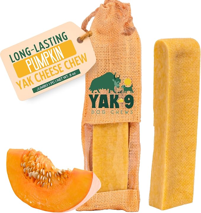 Yak9 Yak Cheese Himalayan Dog Chews, Pumpkin | High Protein, High Fiber Pumpkin Treats for Dogs | Long Lasting, Non GMO, Gluten Free, Grain Free | Jumbo Size,1 PC